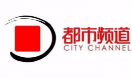 河南卫视频道,传承文化，绽放中原风采